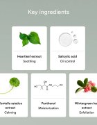 Abib Heartleaf Mild Foam Cleanser zklidňující čisticí pěna pro problematickou pleť akné 150 ml