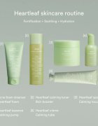 Abib Heartleaf Mild Foam Cleanser zklidňující čisticí pěna pro problematickou pleť akné 150 ml
