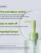 Abib Heartleaf Pore Cleansing Oil-wash jemný čisticí olej se zklidňujícím účinkem 200 ml