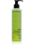 Académie Scientifique de Beauté Pure hloubkově čisticí gel pro mastnou pleť 200 ml