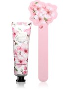 Accentra Essential Botanicals Hand & Nail Cream dárková sada na ruce a nehty 3 ks