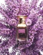 Afnan Violet Bouquet parfémovaná voda pro ženy 80 ml