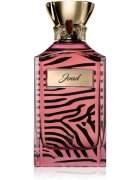 Ahmed Al Maghribi Joud parfémovaná voda unisex 100 ml