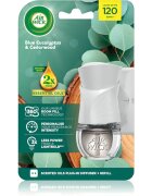 Air Wick Blue Eucalyptus & Cedarwood elektrický osvěžovač vzduchu s náplní 19 ml