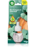 Air Wick Blue Eucalyptus & Cedarwood náplň do elektrického difuzéru 19 ml