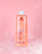 Alama Professional Anti Frizz Gloss Shampoo šampon proti krepatění 500 ml