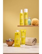 Alama Professional Frequent Conditioner kondicionér pro každodenní použití 300 ml