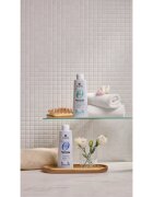 Alama Professional Zero Stress Sebum Regulating Shampoo šampon pro mastnou pokožku hlavy 300 ml