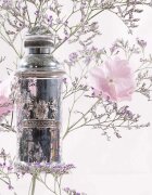 Alexandre.J The Collector: Silver Ombre parfémovaná voda unisex 100 ml