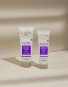 Alfaparf Milano Il Salone Milano Anti-yellow fialový šampon neutralizující žluté tóny 250 ml
