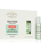 Alfaparf Milano Il Salone Milano Scalp System energizující sérum proti padání vlasů 6x13 ml