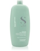 Alfaparf Milano Semi Di Lino Scalp Rebalance jemný čisticí šampon proti lupům 1000 ml