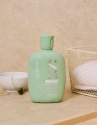 Alfaparf Milano Semi Di Lino Scalp Rebalance šampon pro mastnou vlasovou pokožku 250 ml