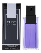 Alfred Sung Sung for Men toaletní voda pro muže 100 ml