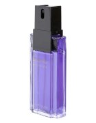 Alfred Sung Sung for Men toaletní voda pro muže 100 ml