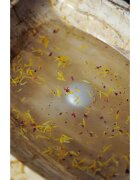 Almara Soap Bath Salt relaxační sůl do koupele s vůní Night Passion 450 g