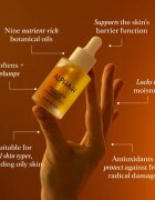 Alpha-H Golden Haze pleťový olej 25 ml