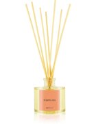 Ambientair COLOURS Pomelo aroma difuzér s náplní 100 ml