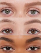Anastasia Beverly Hills Brow Powder Duo pudr na obočí odstín Ash Brown 2x0.8 g