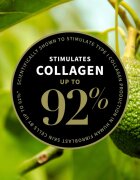 Antipodes Avocado Pear Collagen-Boosting Night Cream noční výživný krém na obličej 15 ml