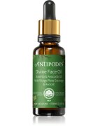 Antipodes Divine Face Oil Rosehip & Avocado Oil ochranné sérum proti prvním známkám stárnutí pleti 30 ml