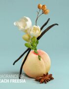 Antipodes Peach Freesia Smooth & Hydrate hydratační kondicionér pro uhlazení a výživu suchých a nepoddajných vlasů 340 ml