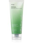 Anua Heartleaf Quercetinol Pore Deep Cleansing Foam hloubkově čisticí pěna pro mastnou a smíšenou pleť 150 ml