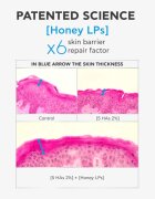 Apivita Bee Tech Concentrates HA5 Honey Repair Serum revitalizační sérum s kyselinou hyaluronovou 30 ml