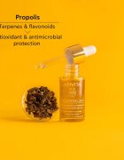 Apivita Beessential Oils Strengthening & Hydrating Day Oil rozjasňující denní olej pro intenzivní hydrataci pleti 15 ml