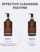 Apivita Cleansing Foaming Cleanser jemná čisticí pěna 200 ml