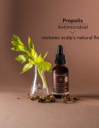 Apivita Dandruff Relief Oil péče o pokožku hlavy proti mastným lupům 50 ml