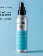 Apivita Greek Mountain Tea Face Water antioxidační hydratační mlha 100 ml