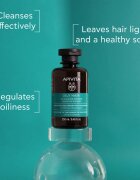 Apivita Oily Hair Oil Balance Shampoo hloubkově čisticí šampon pro mastnou pokožku hlavy pro posílení a lesk vlasů 250 ml