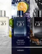 Armani Acqua di Giò Intense parfémovaná voda pro muže 50 ml