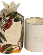 Ashleigh & Burwood London The Scented Home Christmas Spice vonná svíčka 170 g