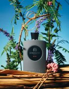 Atkinsons James parfémovaná voda pro muže 100 ml