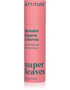 Attitude Super Leaves Lip Balm balzám na rty s vůní melounu Watermelon 8.5 g
