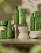 Aveda Be Curly Advanced™ Curl Perfecting Primer sprej pro definici vln 200 ml