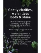 Aveda Rosemary Mint Weightless Conditioner jemný pečující kondicionér pro lesk a hebkost vlasů 1000 ml