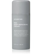 AYUNCHE Pro Deep Repairing Cream hloubkově regenerační krém pro poškozené vlasy 100 ml