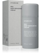 AYUNCHE Pro Deep Repairing Cream hloubkově regenerační krém pro poškozené vlasy 100 ml
