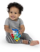 Baby Einstein Ocean Explorers Sea of Sensory Teether Toy kousátko 3 m+ 1 ks
