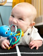 Baby Einstein Opus's Shake & Soothe Teether Toy & Rattle kousátko s chrastítkem 0 m+ 1 ks