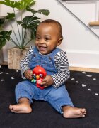 Baby Einstein Roxy's Bright Flight™ hudební hračka 3m 1 ks