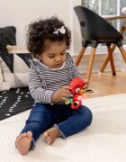 Baby Einstein Roxy's Bright Flight™ hudební hračka 3m 1 ks