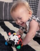 Baby Einstein Zen the Zebra™ Curious Car autíčko s chrastítkem 3 m+ 1 ks