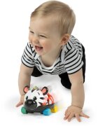 Baby Einstein Zen the Zebra™ Curious Car autíčko s chrastítkem 3 m+ 1 ks