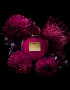 Banderas Her Secret Temptation toaletní voda pro ženy 80 ml