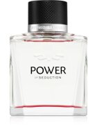 Banderas Power of Seduction toaletní voda pro muže 100 ml