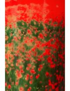 Baobab Collection Arty Flowers Poppies vonná svíčka 500 g